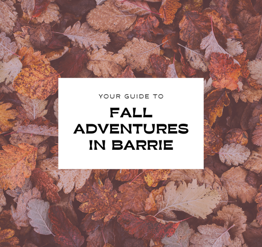 Your Guide to Fall Adventures in Barrie This Year