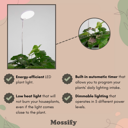 LED Plant Light