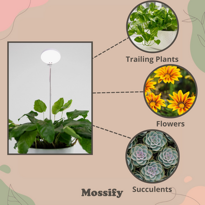 LED Plant Light